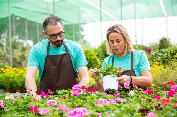 Gardening Consultation